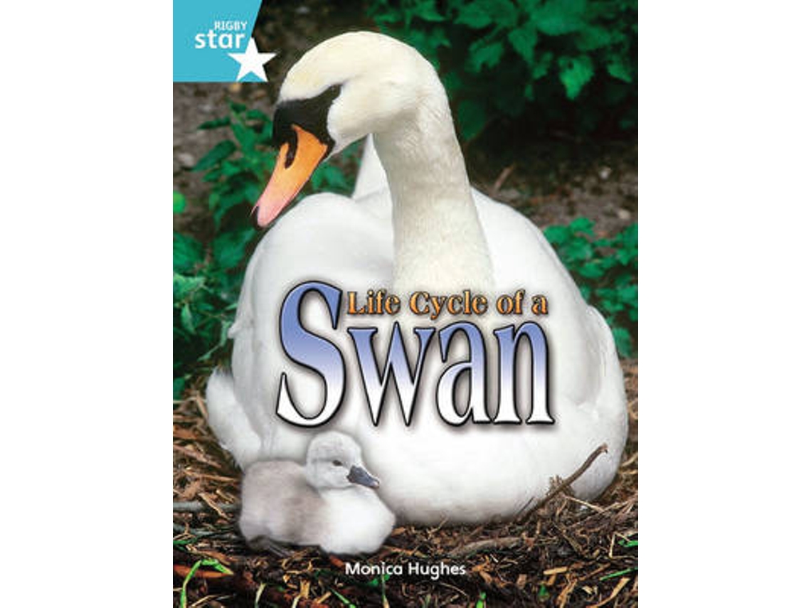 Livro Rigby Star Independent Year 2 Turquoise Non Fiction Life Cycle of a Swan Single de Monica Hughes (Inglês)