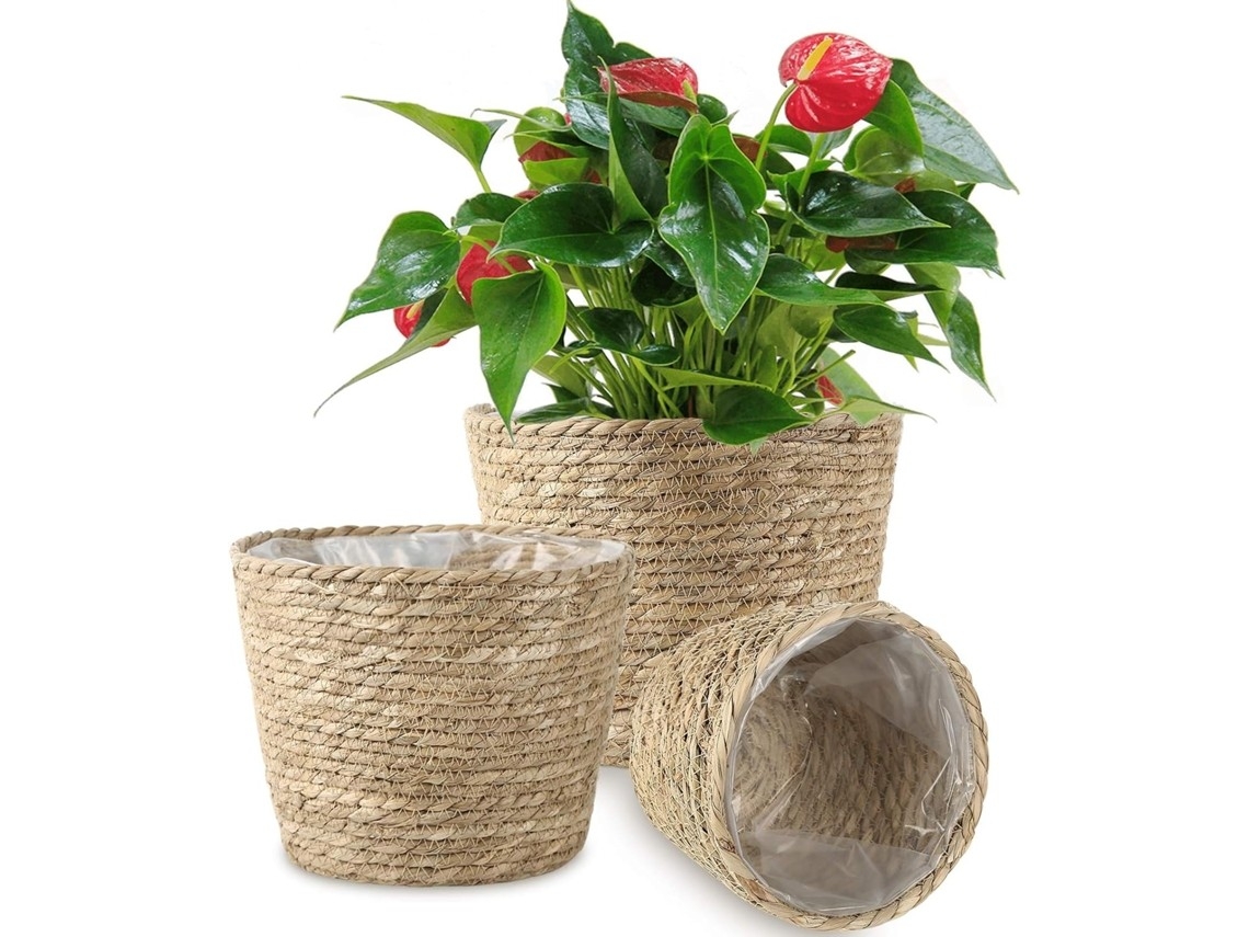 Glicínia Artificial Para Decoração