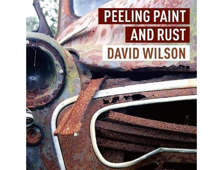 Livro Peeling Paint and Rust de Wilson e David (Inglês)