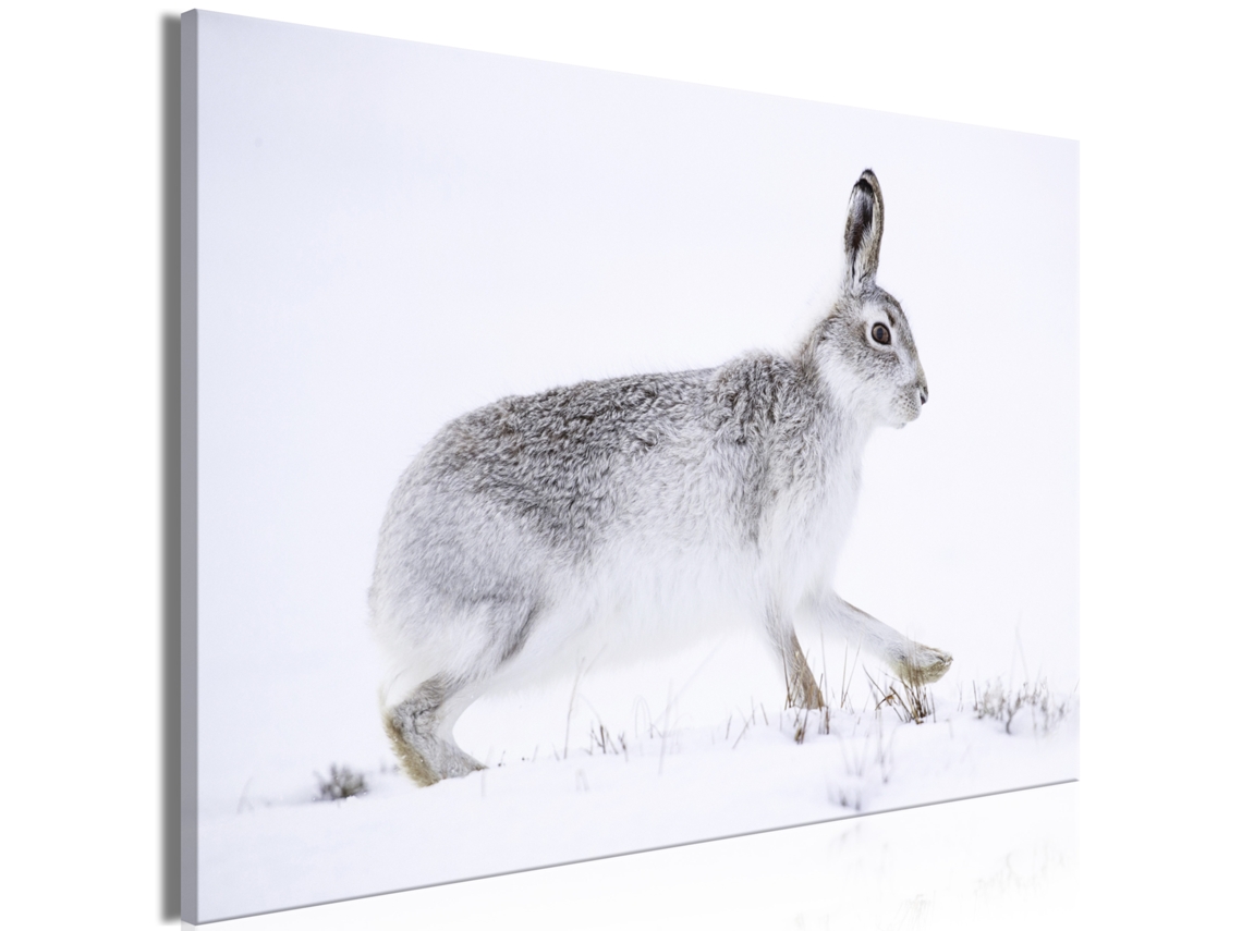 Quadro ARTGEIST Hare (1 Part) Wide (90x60)