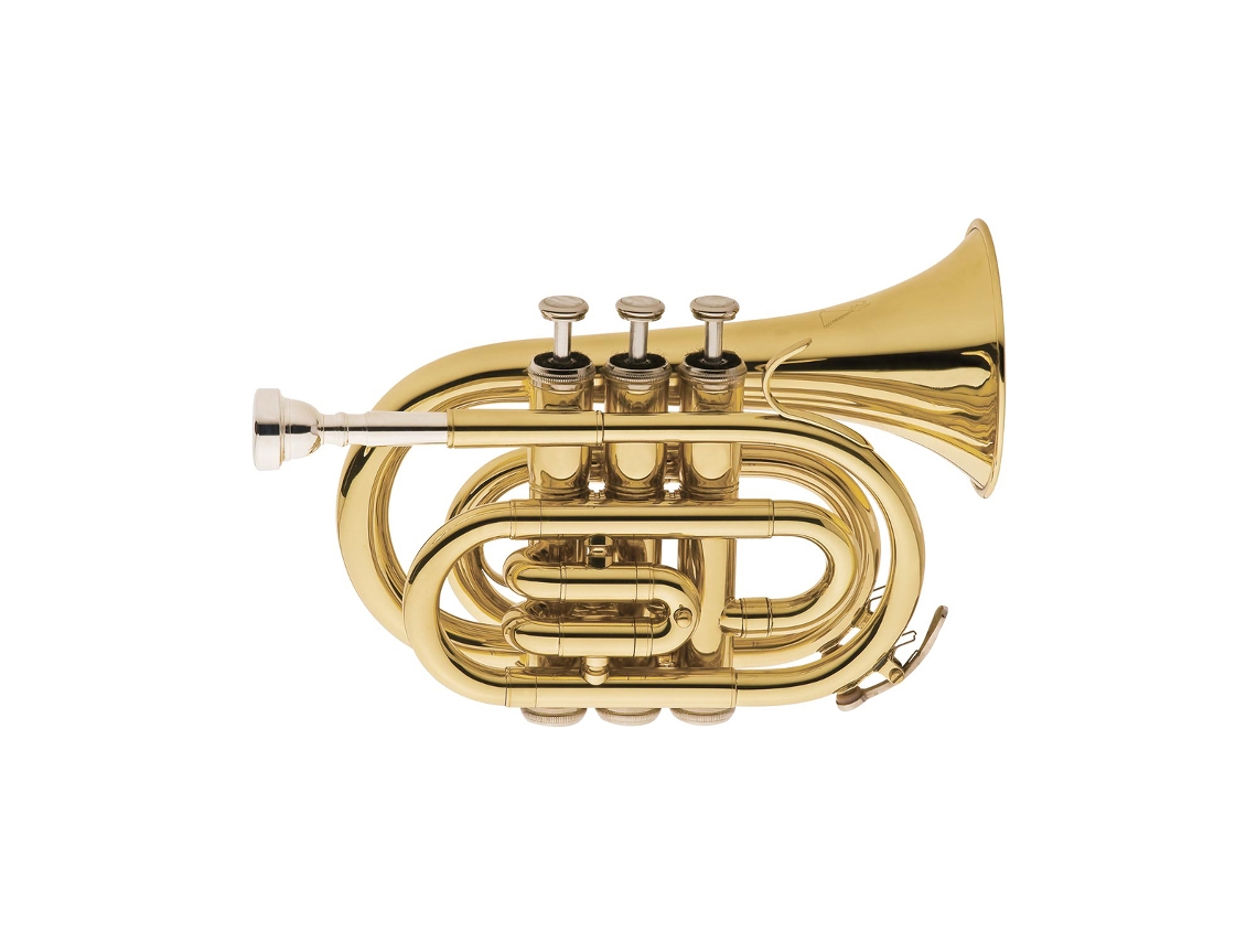 Dpt 400 WISEMANN