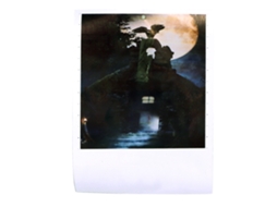 Decoração Halloween Escadas Decalcomanias Coruja 3d Removíveis