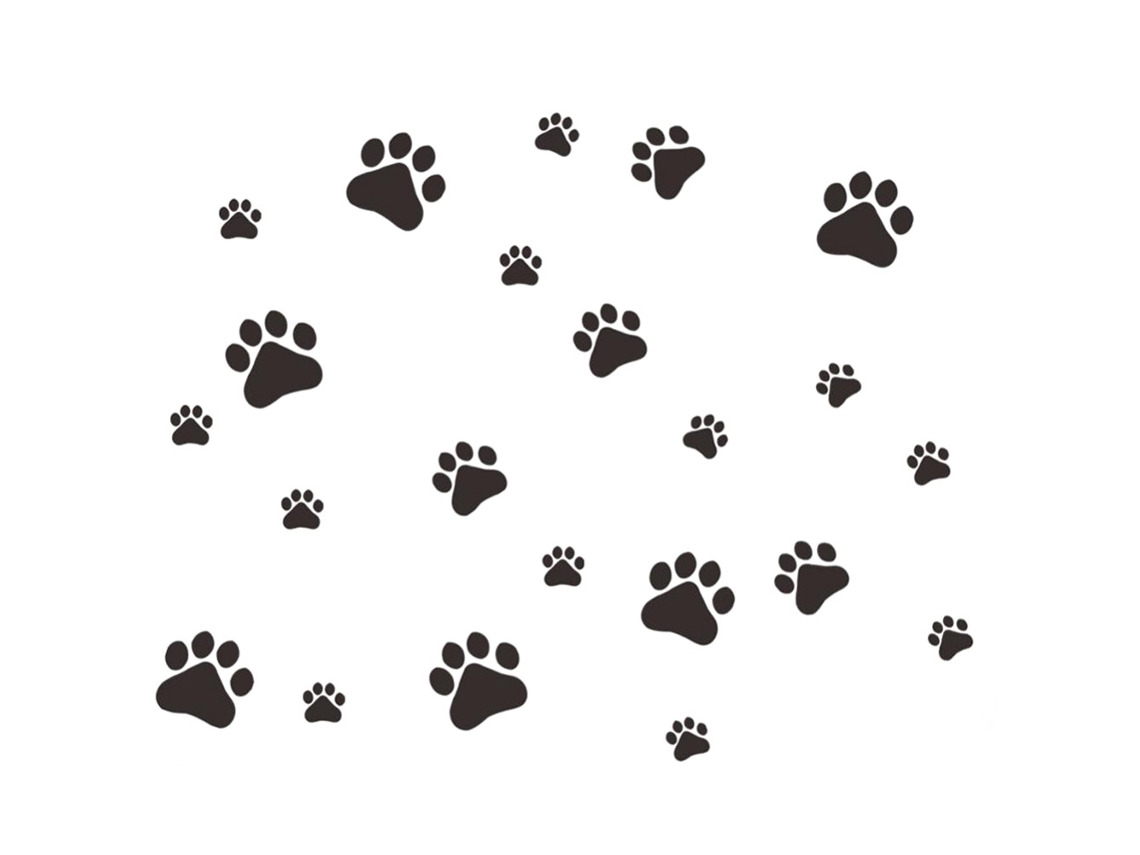 Adesivo de Pegadas de Cachorro para Parede | S/MARCA