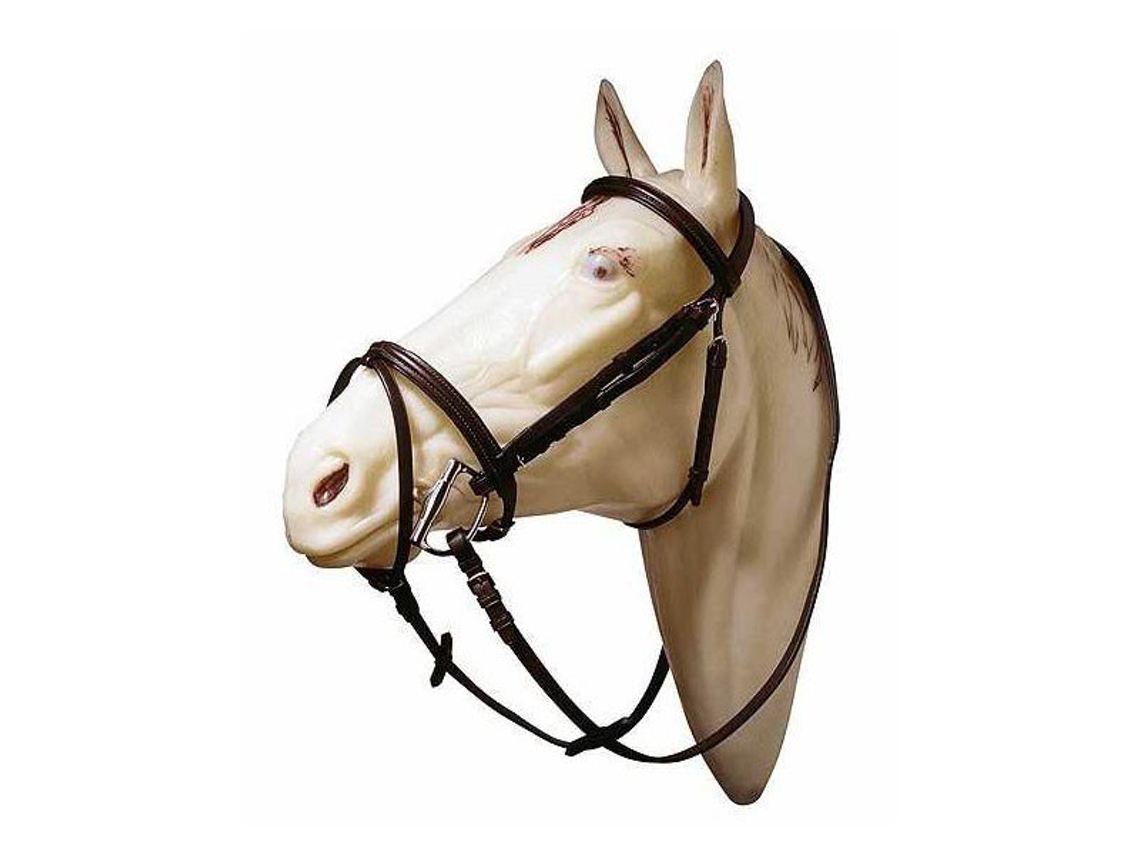 Focinheira Elevada e Freio de Testa Dourado Cobmarjoman Distribucion