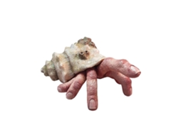 Adorno Dedo Caracol Prop Halloween Modelo Resina Mão Caracol