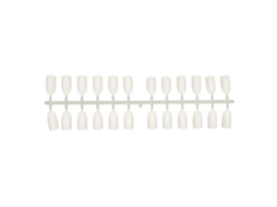240pcs Paleta De Prática De Esmalte De Unha Com Dicas Falsas Seagull Para Manicure Ferramenta 02