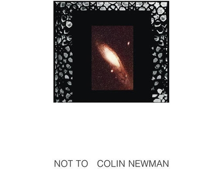 Vinil LP Colin Newman - Not To