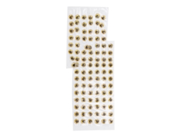 Olhos de Isca de Pesca 3d Antiqueda Ouro 4mm 1000un