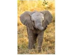 Puzzles CLEMENTONI 104 Wwf Pequeno Elefante