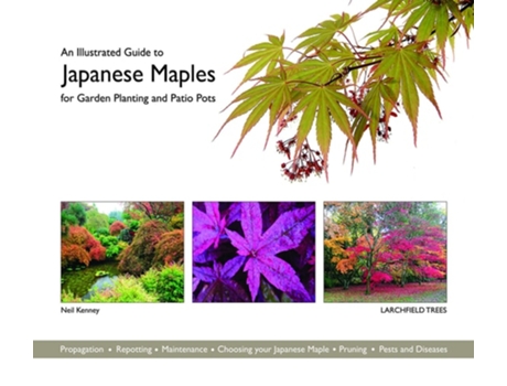 Livro An Illustrated Guide to Japanese Maples for Garden Planting and Patio Pots de Neil Kenney (Inglês)