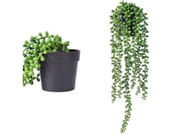 HYMNORA Pcs Plantas Suspensas Suculentas Lágrimas Dos Amantes De Suculentas Arte Suculenta Para Decoração Interior E Exterior Jardim Suspenso