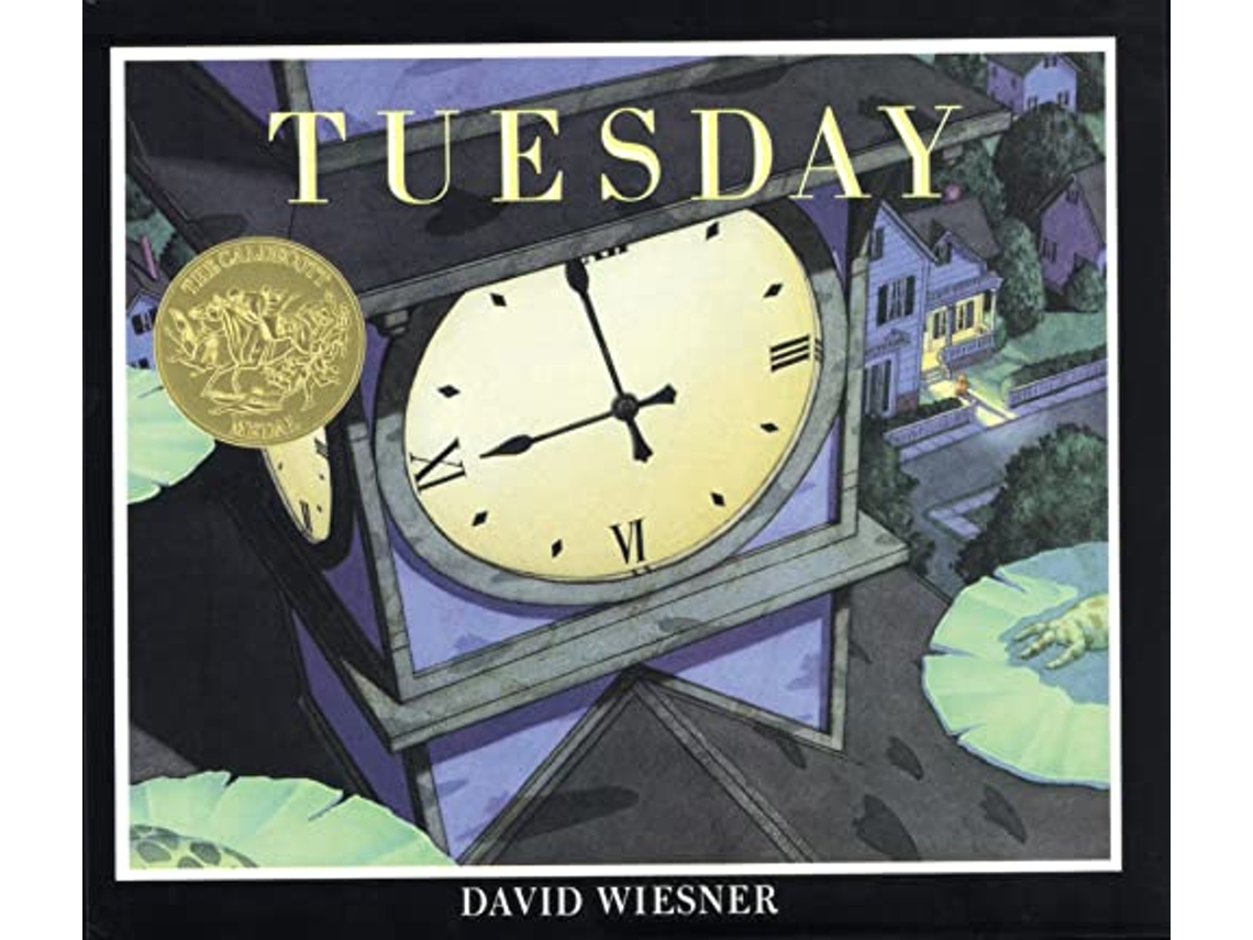 Livro Tuesday de David Wiesner (Inglês)