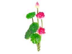 Flor de Lotus Artificial Pequena LAXISCREED