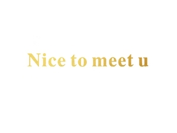 Adesivos Parede Removíveis Nice To Meet U Dourado S