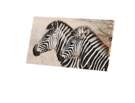 Pintura Decorativa Casal Jovem Zebra Animais Silvestres Savana África 107 Cm X 60 Cm FABULOUS