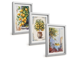 Composição De Quadros Limoeiros, Frutas E Sol Espelharte (3 Peças 20x30 Cm)