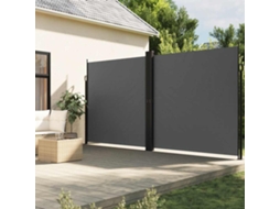 Vidaxl Toldo Lateral Retrátil 220x1200 Cm Antracite