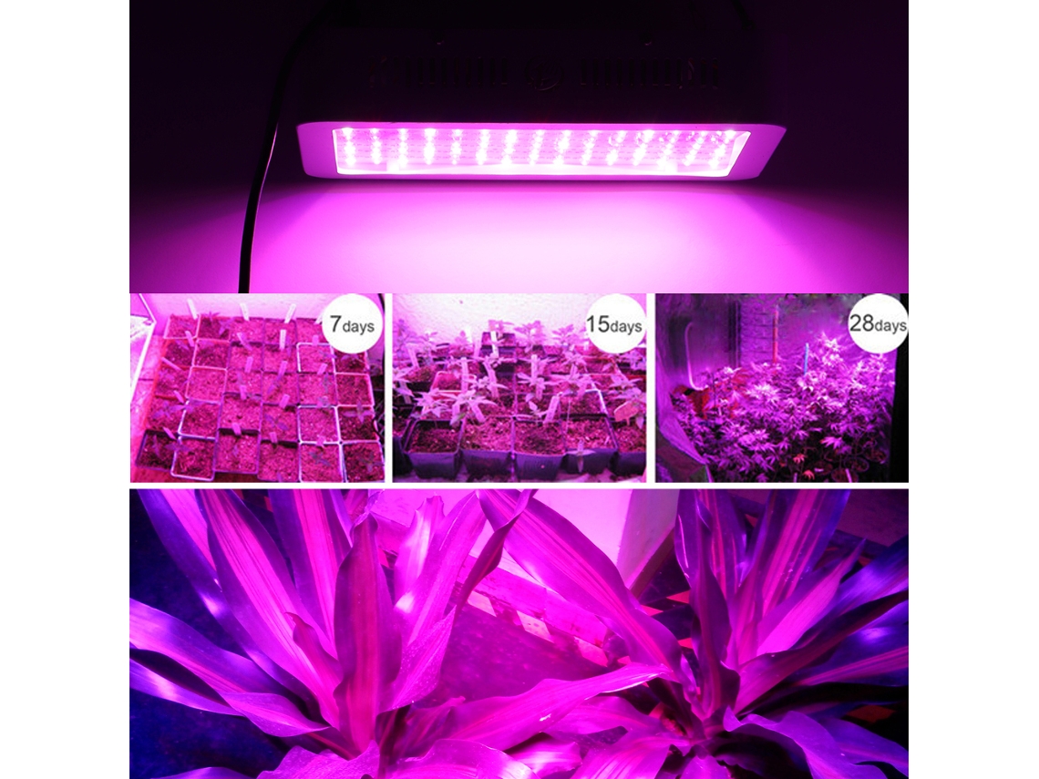 Lâmpada Led De Espectro Total De 1200 W Para Plantas Em Estufas Internas Slowmoose