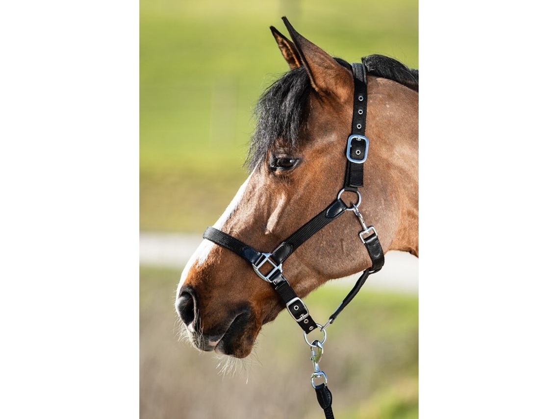 Cabresto para cavalos HFI Smart