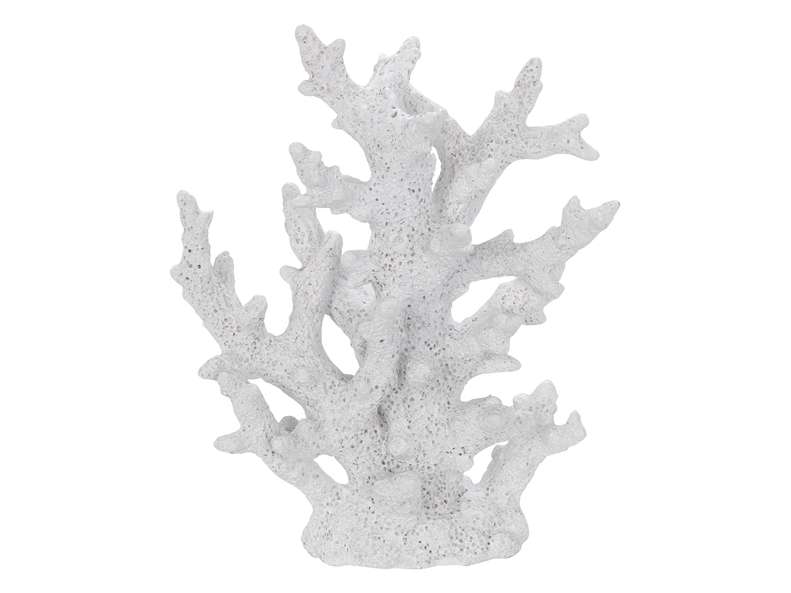Coral BY SIGRIS