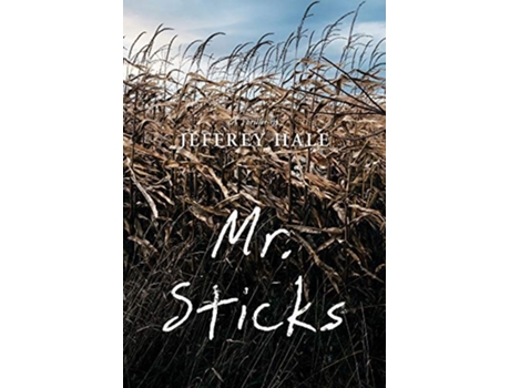 Livro Mr. Sticks de Jeffrey Hale (Inglês)