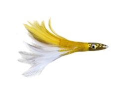 Isco WILLIAMSON Albacore Feather 6