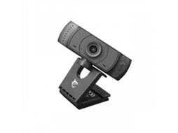 Webcam White Shark