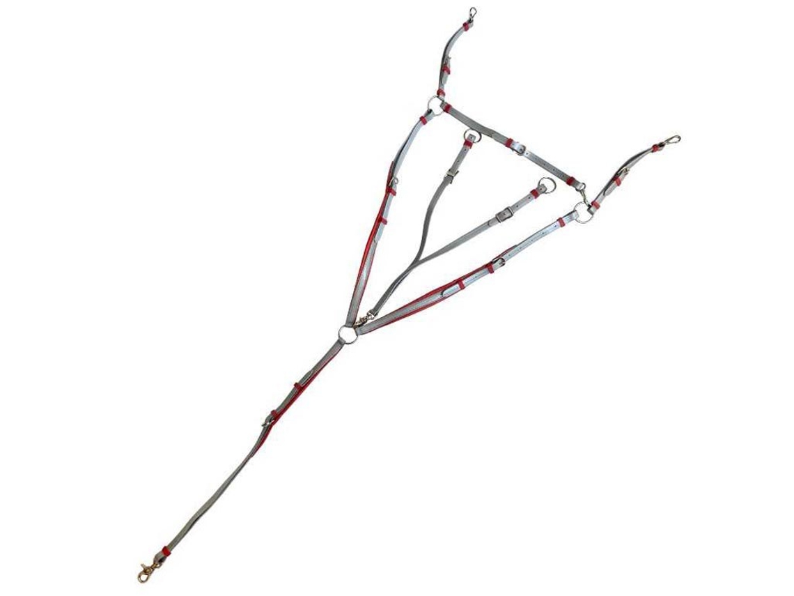 Definir Endurance Prateado Fullmarjoman Distribucion