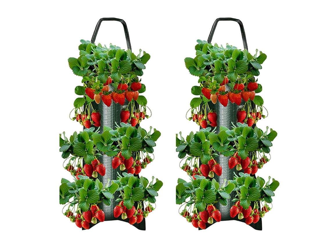 Fita Adesiva Reutilizável LYYTUNG, para Plantas, 10m, 12mm de Diâmetro