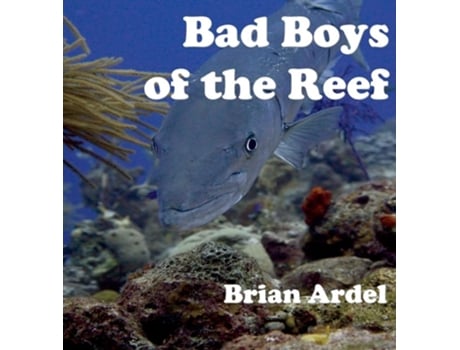 Livro Bad Boys Of The Reef De Brian Ardel (inglês - Capa Dura)