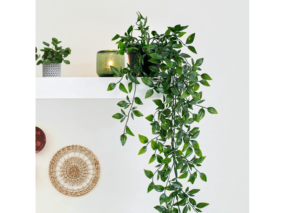 Planta Suspensa Mandura em Vaso BRILVIBERA (80cm)