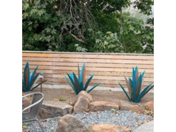 Decoração de Agave de Ferro Primerox para Jardim e Casa Decorativo Exterior e Interior