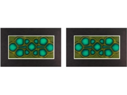 Película de Visualização Magnética 2x, Visualizador de Campo Magnético de 2 Polegadas X 4 Polegadas SFUSHOS