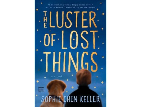 Livro The Luster Of Lost Things de Sophie Chen Keller