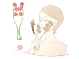 Massageador Facial Manual com Rolos, Instrumento de Beleza Facial, Ferramenta para Papada, Azul. GOKOCO