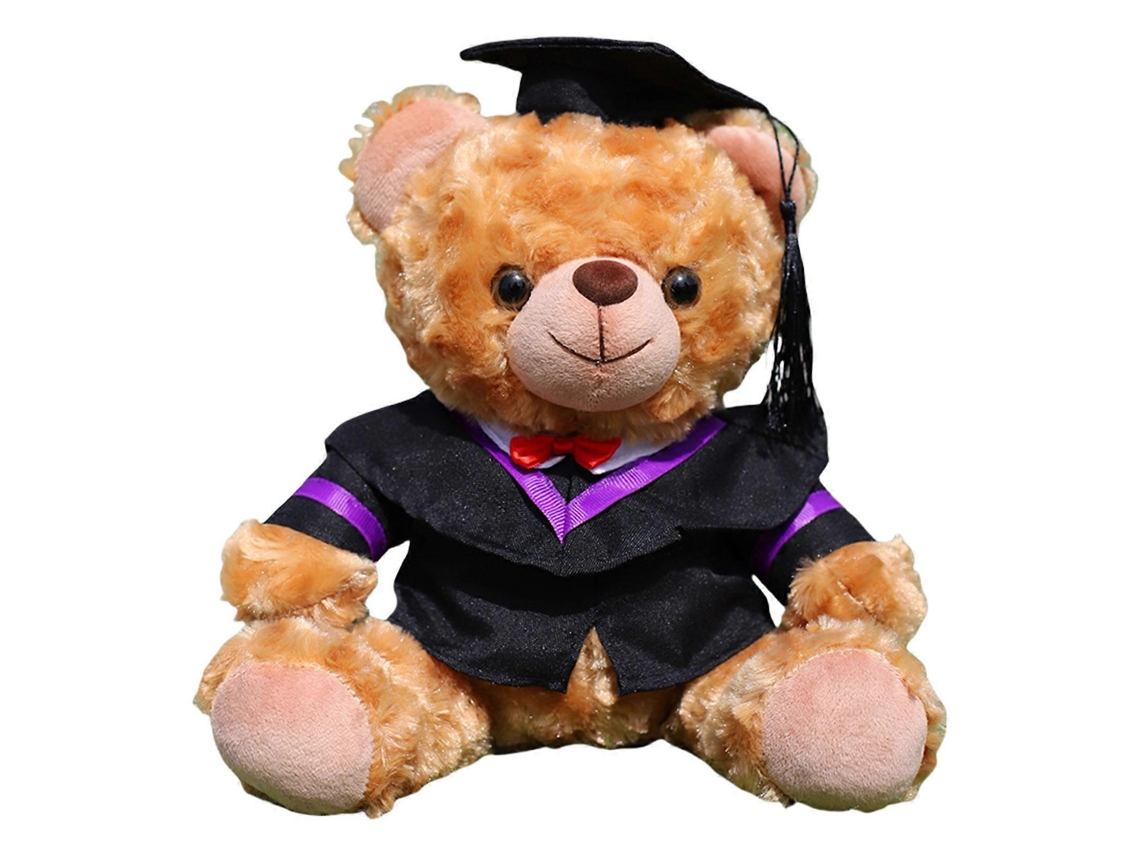 Urso De Pelúcia De Formatura, Com Beca Roxa, Presente Para Formandos