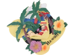 Adesivo Magnético De Resina Clispeed, Ornamento Decorativo Funcional, Design Havaiano Para Geladeira, Ímã Forte Que