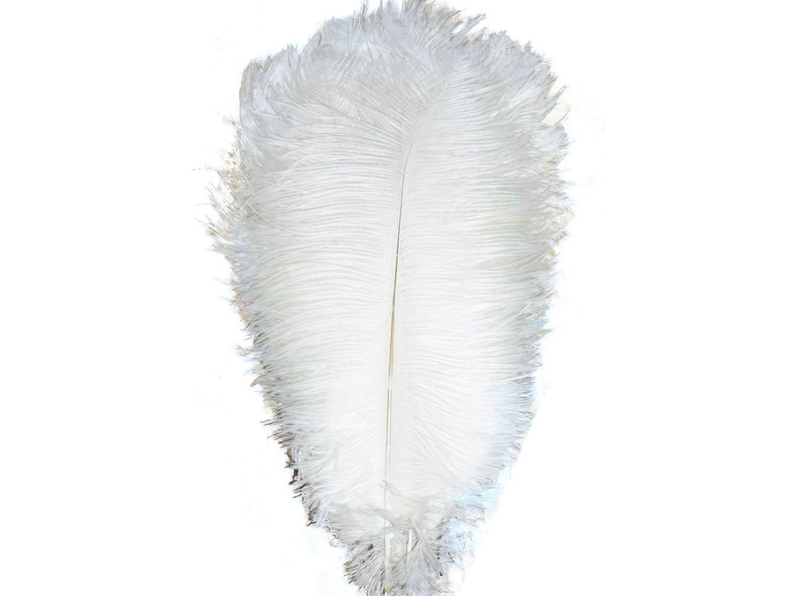Lote De 100 Plumas Naturais 35 A 40 Cm Para Centro De Mesa De Casamento, Decoração De Interior (bla)
