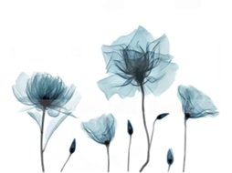 Adesivos de parede com flores azuis em papel pintado, estilo retrô, para decoração de ambientes.
