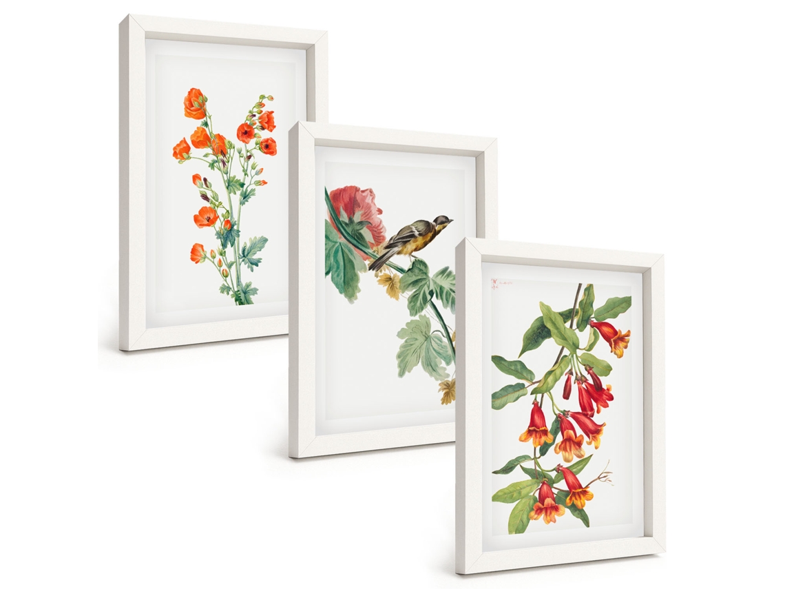 Conjunto De Quadros Com Moldura Flores E Pássaros Pintados Moldura Branca Fotos Para O Escritório Espelharte (3 Peças 20x30 Cm)