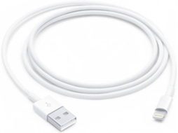 OUTLET|8014209|(5198)|APPLE|LIGHTNING TO