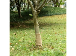 Vidaxl Rolo De Juta 0,25x5 M 100% Juta 200 Gsm