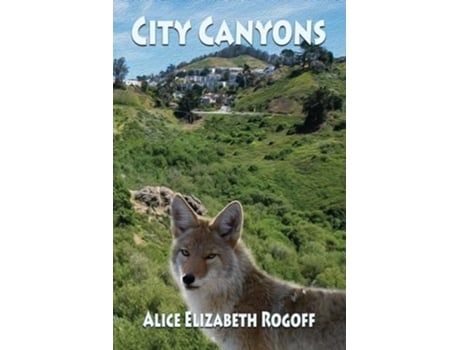 Livro City Canyons de Alice Elizabeth Rogoff (Inglês)