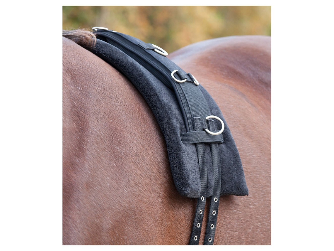 Almofada de Espuma Longing Girth Castanho Ponywaldhausen