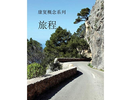 Livro Concepts of Recovery The Journey Mandarin Translation Chinese Edition de Millie Lace Pauly Bunting Sherry Neuenschwander (Inglês)