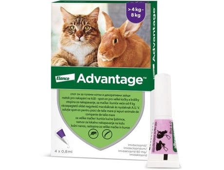 4 × 0,8 ml Spot On para gatos grandes e coelhos Advantage