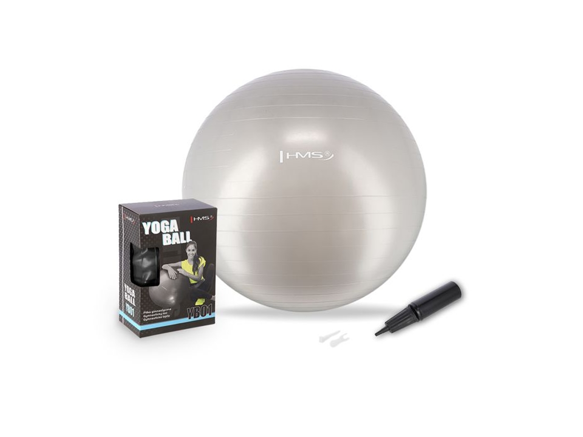 Yb01 Novo Balão De Ginástica Cinza 65cm Hms