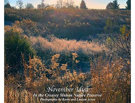 Livro November Idyll In the Creasey Mahan Nature Preserve 7 Creasey Mahan Collection de Karin Acree Lauren Acree (Inglês)
