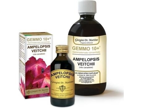 Suplemento Alimentar DR. GIORGINI An (500 ml)