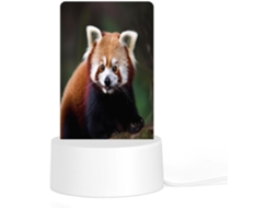 Luminária noturna de acrílico com LED e base encaixável de plástico, com estampa de panda vermelho.